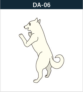 DA-06