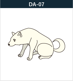 DA-07