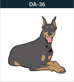 DA-36