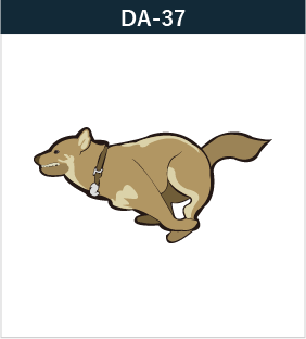 DA-37