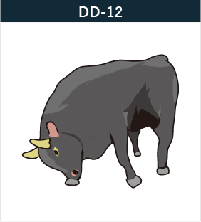 DD-12