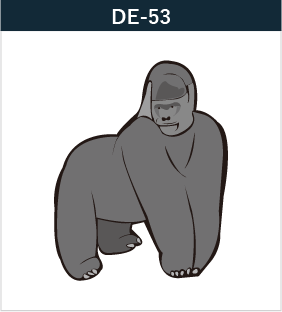 DE-53