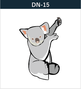 DN-15