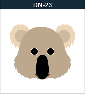 DN-23