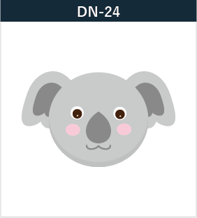 DN-24