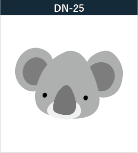 DN-25