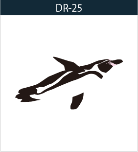 DR-25