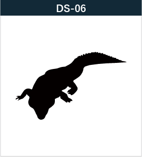 DS-06