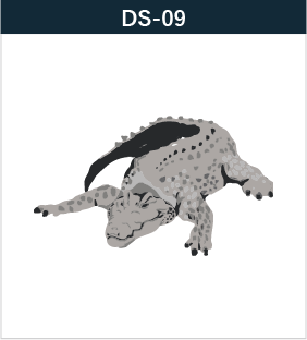 DS-09