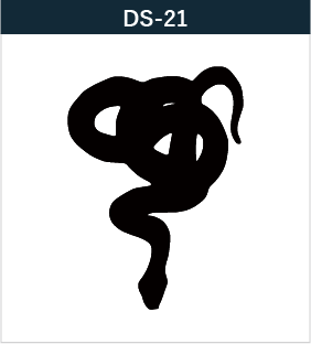 DS-21