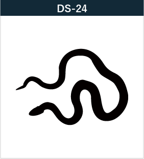 DS-24