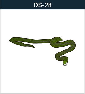 DS-28