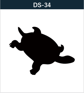 DS-34