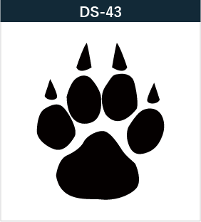 DS-43