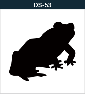 DS-53