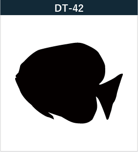 DT-42