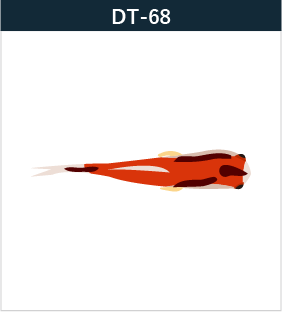 DT-68