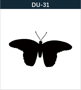 DU-31