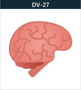 DV-27