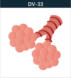 DV-33