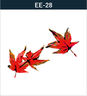 EE-28