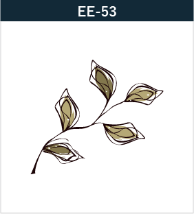 EE-53