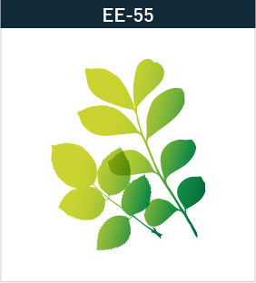 EE-55