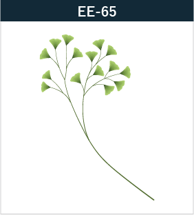 EE-65