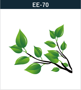 EE-70