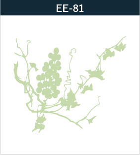 EE-81